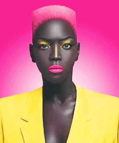African Women With Pink Hair Paint By Numbers