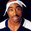 American Rapper Tupac Shakur Paint By Numbers