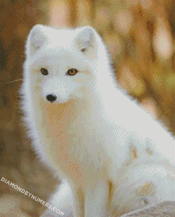Wild Baby Foxes - Diamond Painting 