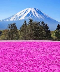 Beautiful Mountain Purple Flower Field Paint By Numbers