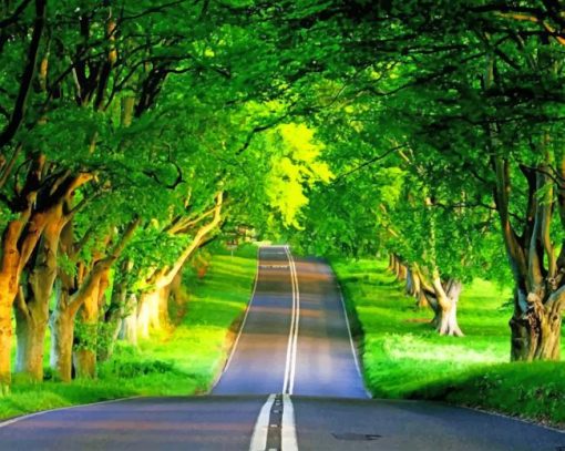 Beautiful Nature Road paint by numbers