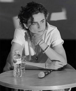 Black And White Timothée Chalamet Paint By Numbers
