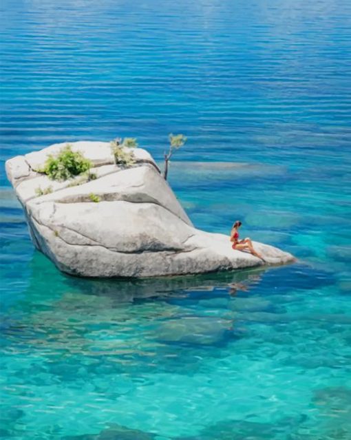 Bonsai Rock Lake Tahoe in Usa paint by numbers