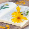 Book And Flower paint by number
