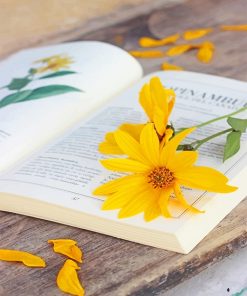 Book And Flower paint by number