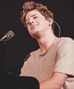 charlie puth on stage adult paint by numbers