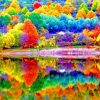 Colorful Trees Autumn paint by number