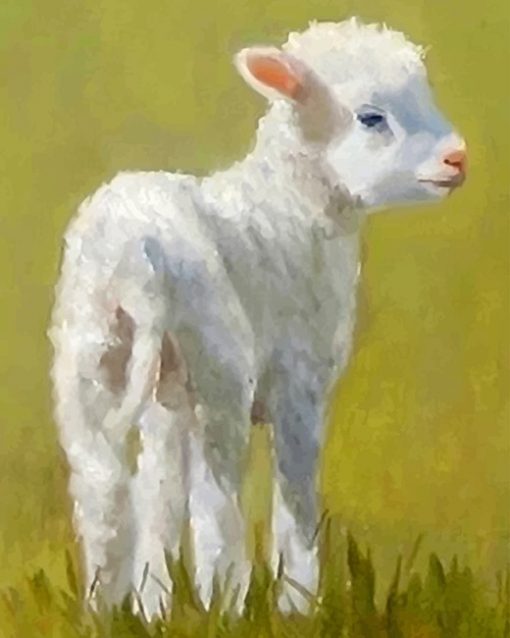 Cute Lamb paint by number