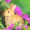 cute blonde bunny adult paint by numbers