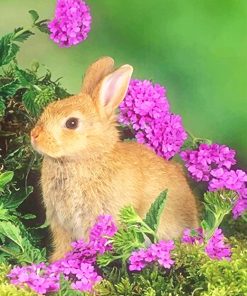 cute blonde bunny adult paint by numbers