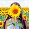 Cute Girl Sunflowers paint by number
