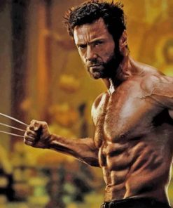 Days Of Future Past Wolverine Paint By Numbers
