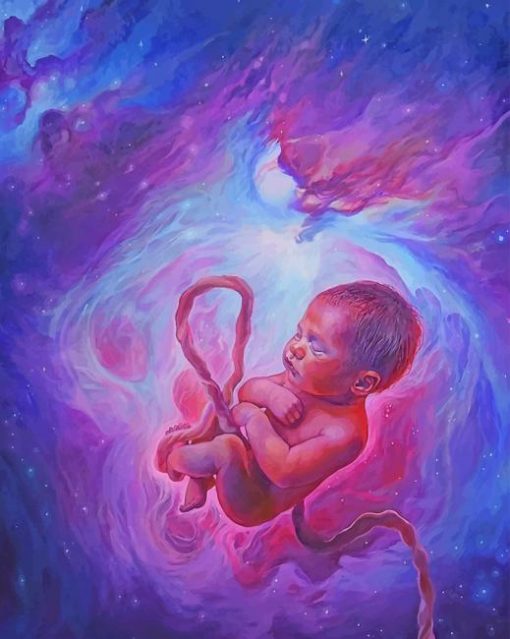 Galaxy Embryo Paint By Numbers