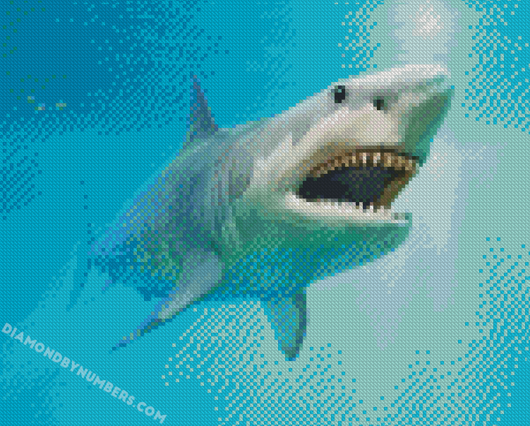 Great Megalodon Shark - 5D Diamond Painting - DiamondByNumbers ...