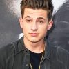 Handsome Charlie Puth paint by numbers