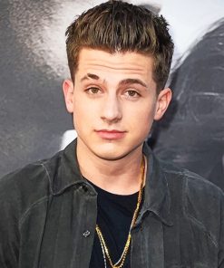 Handsome Charlie Puth paint by numbers