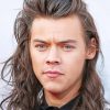 Handsome Harry Styles With Long Hair paint by numbers