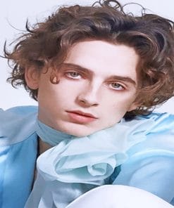 Handsome Timothee Chalamet Portrait paint by number