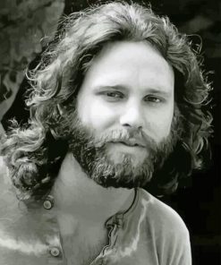 Jim Morrison paint by number