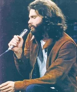 Jim Morrison Singing paint by number