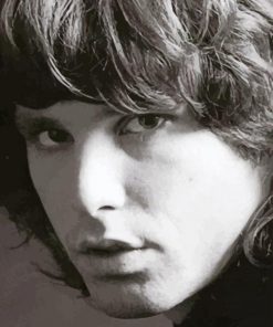 Jim Morrison The Doors paint by number