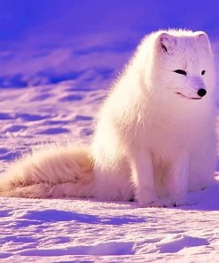 Lovely Arctic Fox paint by number