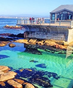Monterey Bay Aquarium paint by number