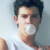 Shawn Mendes Bubble Gum Paint By Numbers