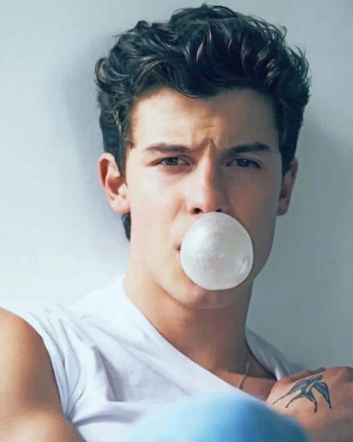 Shawn Mendes Bubble Gum Paint By Numbers