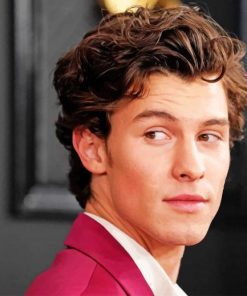 Shawn Mendes Handsome Canadian Singer Paint By Numbers