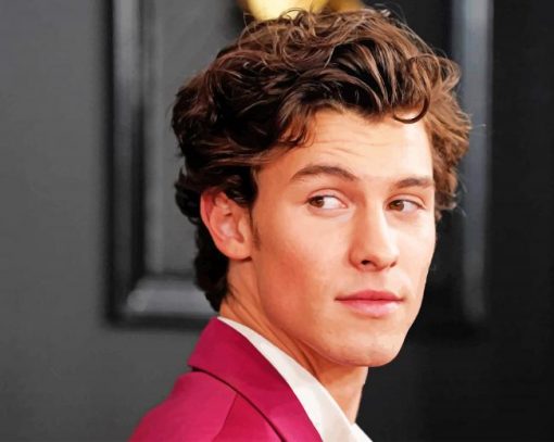 Shawn Mendes Handsome Canadian Singer Paint By Numbers