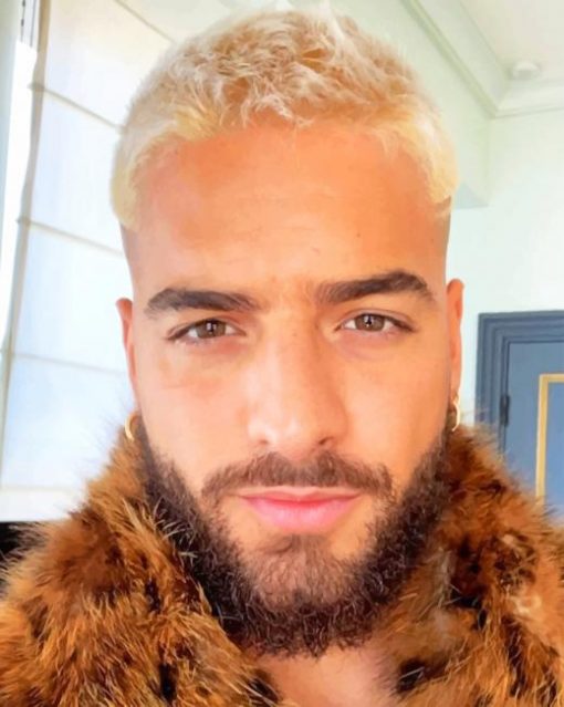 The Handsome Maluma apint by numbers