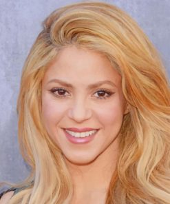 The Pretty Singer Shakira paint by numbers
