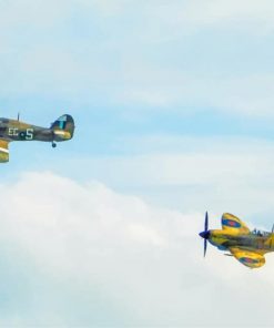 Two Spitfires Fighter paint by number