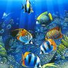 Underwater World paint by numbers