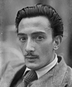 Young Salvador Dali paint by number