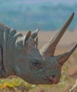 Bird Standing On Rhinos Back diamond paintings