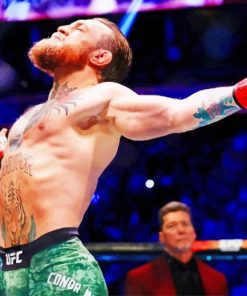 Conor The Champion paint by numbers