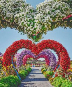 Dubai Miracle Garden paint by numbers