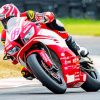 Honda Indian Rider Race Of Bikes paint by numbers