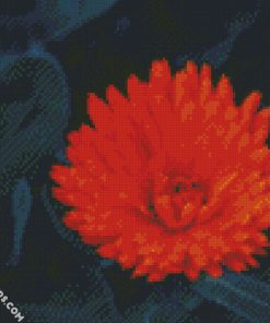 Orange Peatald Flower diamond paintings