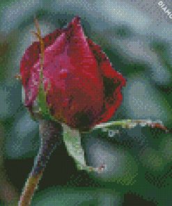 Red Rose In Bloom During Daytime diamond painting
