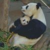 baby and mummy panda diamond painting