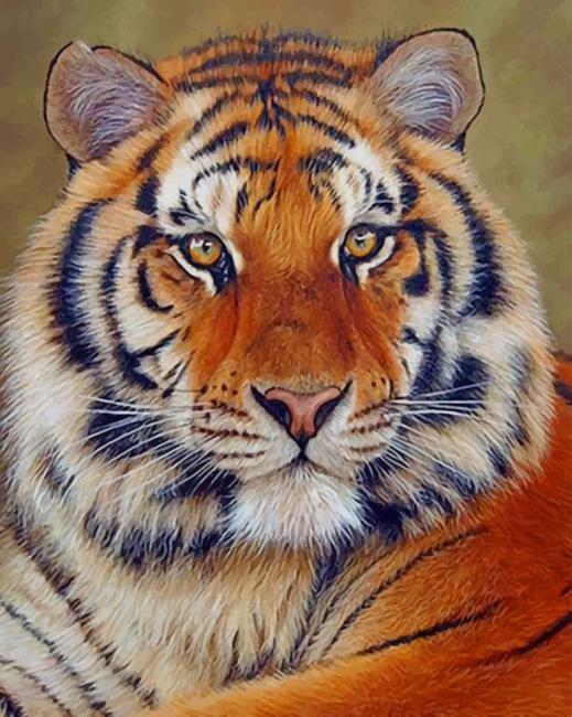 Siberian Tiger Gazing - 5D Diamond Painting - DiamondByNumbers - Diamond Painting art