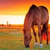 Big Horse Sunset paint by numbers