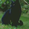 black cat in the grass diamond painting