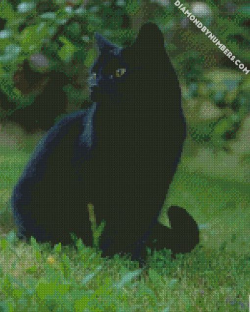 black cat in the grass diamond painting