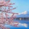 Cherry Blossom Sea Mountain paint by numbers