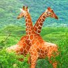 Cute Twin Giraffes Playing paint by numbers