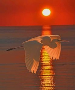 Great Egret Sunset paint by numbers